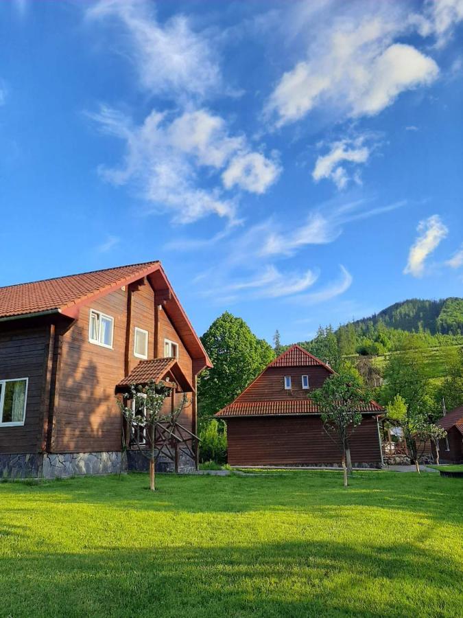 Holiday home зачаровані карпати,