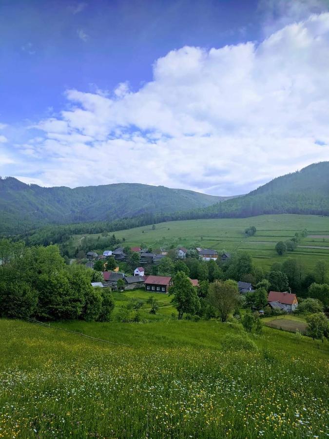 Holiday home зачаровані карпати, *