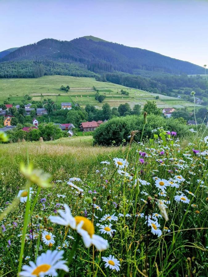 зачаровані карпати, Holiday home *
