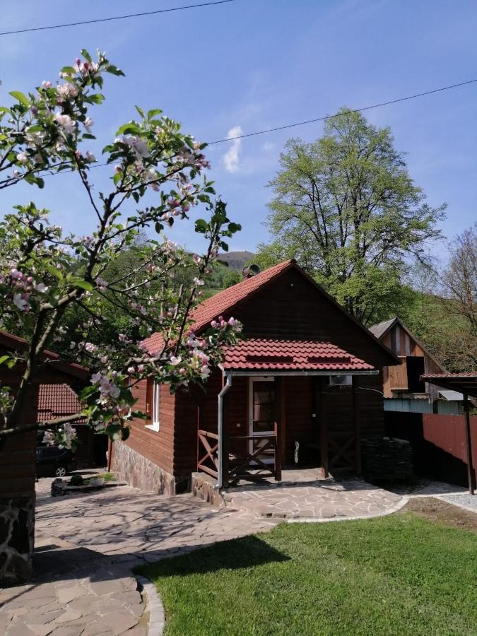 зачаровані карпати, Holiday home